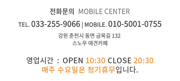 고객센터 033-255-9066