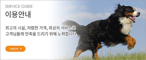 이용안내